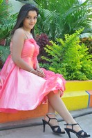 Padmini Gallery